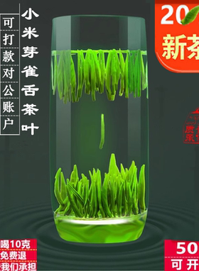 绿茶2026新茶雀舌茶叶浓香型明前嫩芽春茶包龙井高山名茶毛尖礼盒