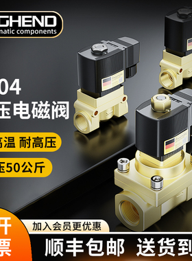 高压电磁阀5404-02/03/04/06二位二通耐高温蒸汽阀水阀耐压50公斤