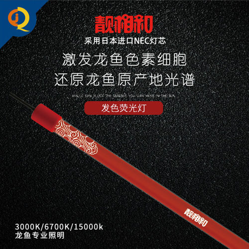 靓相和T8灯管潜水灯防水发色