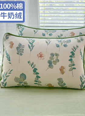 ab面冬季纯棉加绒枕套珊瑚绒全棉牛奶绒枕头套48x74cm枕套一对装