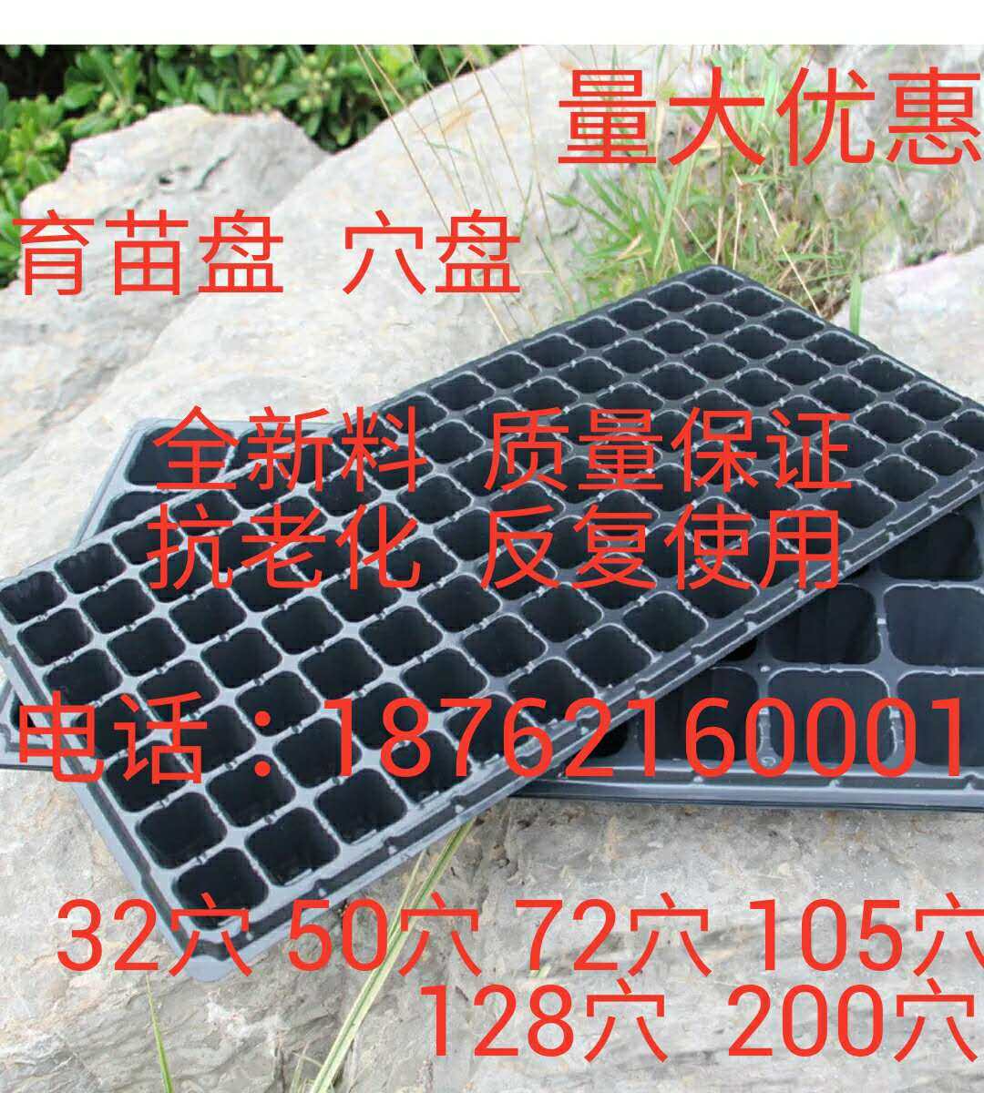 多孔育苗盒育苗箱芽盘子种植盘穴盆育苗杯秧盘 育秧盘育苗盘穴盘