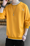 秋季新款大码绣标休闲运动套头卫衣XZ304B-W55211P30，男装卫衣，星座302B-1