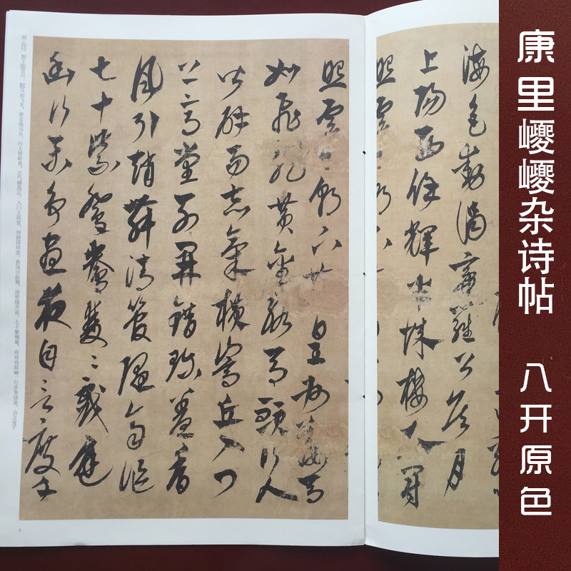 元·康里巎巎杂诗帖 中国书法名碑名帖原色放大本 笔字帖简体旁注
