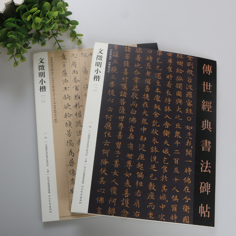 两册包邮 文征明小楷字帖  千字文 赤壁赋 草堂十志 离骚经传世经典书法碑帖 楷书毛笔字帖河北教育出版社