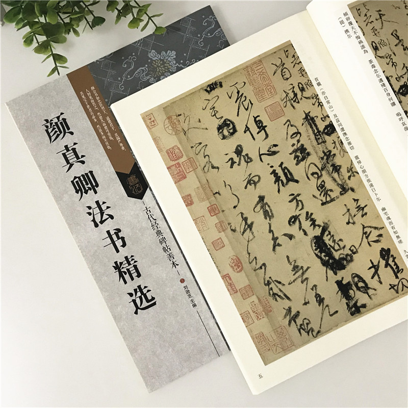 附原尺寸节选折页、题跋、全文释读、点评