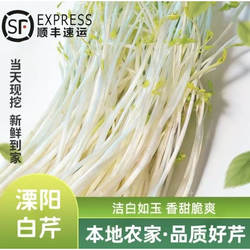 天目湖特产溧阳白芹 无根芹丫水芹菜新鲜芹菜绿色蔬菜淮扬菜500克