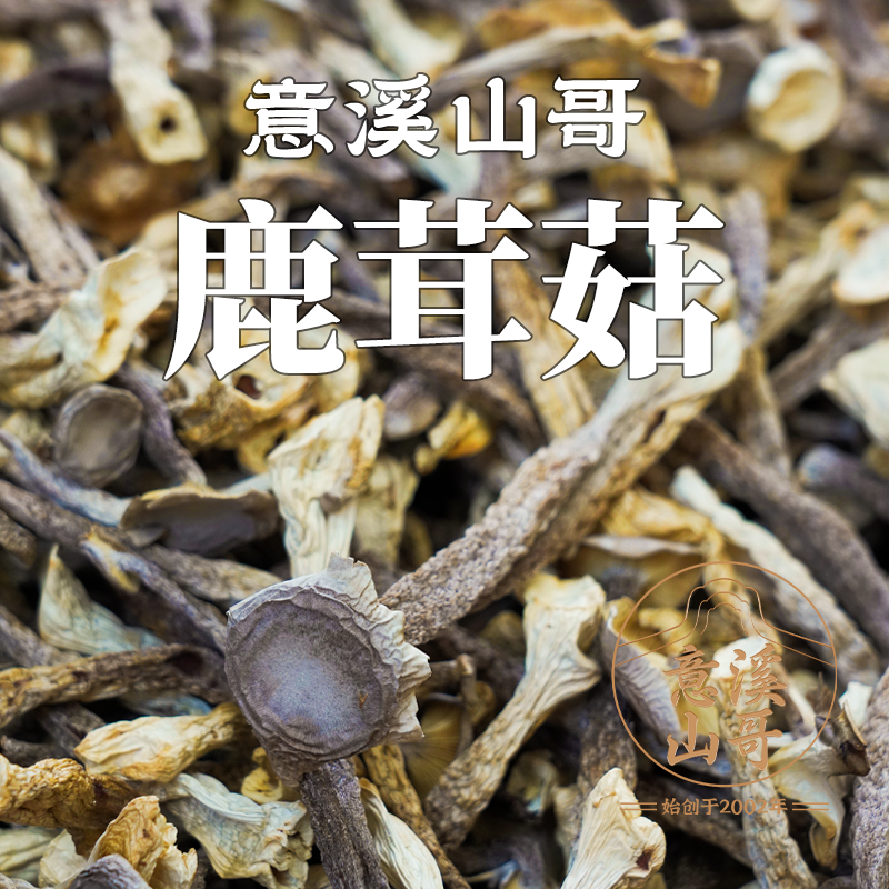 潮州山哥推荐 鹿茸菇食材干货食用菌菇煲汤做菜食材1袋250g鹿茸菌