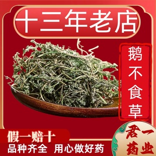13年老店鹅不食草中药材鹅不吃草新鲜干草鹅不食饿不食草