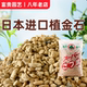 植金石日本进口原装 兰花专用植料颗粒营养土兰花石多肉铺面