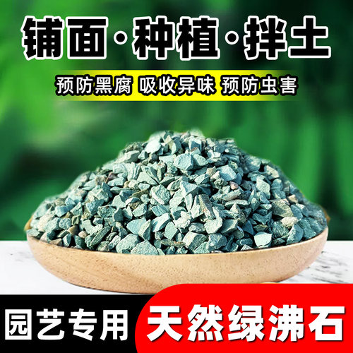绿沸石多肉专用土介质颗粒透气营养土铺面石鱼缸吸氨水族造景净化