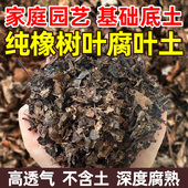 腐熟天然纯橡树叶君子兰专用有机腐叶土多肉兰花营养松针腐殖土