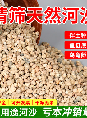 富贵园艺多肉君子兰拌土酥松透气