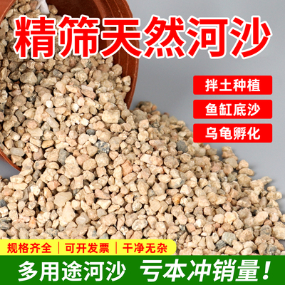 富贵园艺多肉君子兰拌土酥松透气