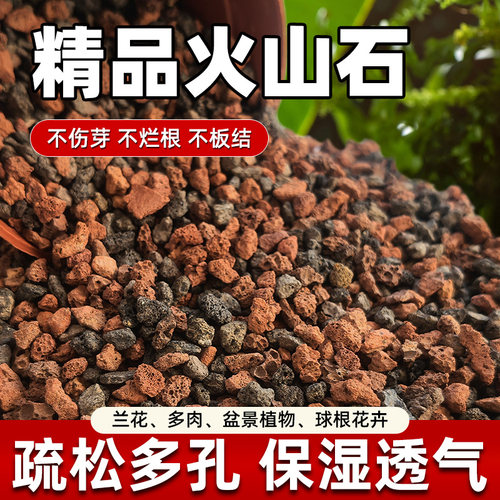 天然火山石颗粒精筛洗养多肉颗粒土兰花铺面鱼缸专用过滤造景材料