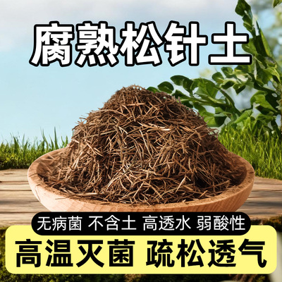松针土橡树叶腐叶君子兰专用花土