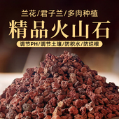 火山石颗粒养花专用多肉蝴蝶兰花营养土鱼缸底沙滤材小铺面石红岩