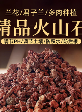 火山石颗粒养花专用多肉蝴蝶兰花营养土鱼缸底沙滤材小铺面石红岩