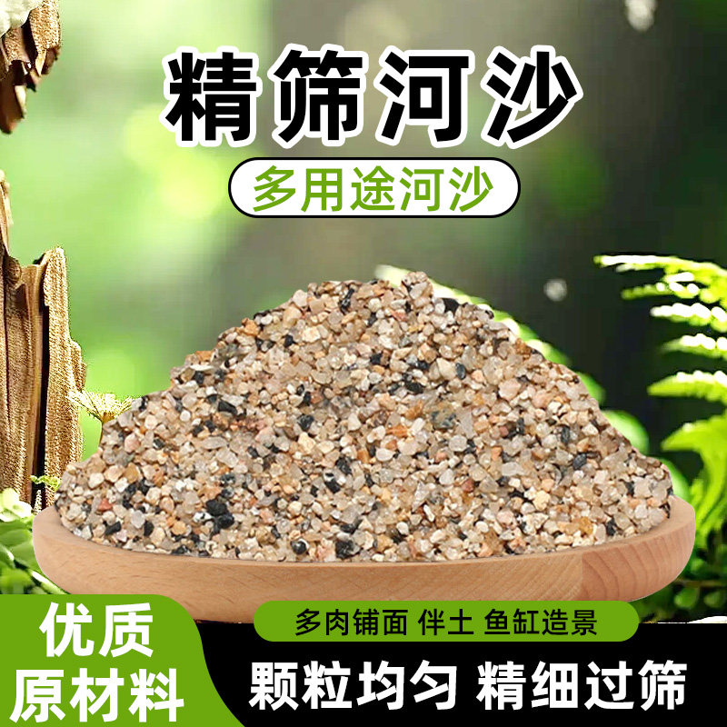 天然河沙沙子粗沙细沙沙土种花土壤种植土鱼缸底沙黄沙沙石营养土