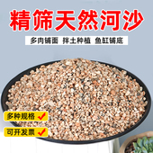 天然河沙精筛粗沙细沙沙土种花土壤种植土鱼缸造景沙子沙石营养土