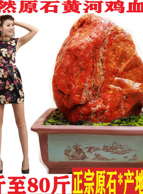 精品鸡血奇石家居玄关祈福平安