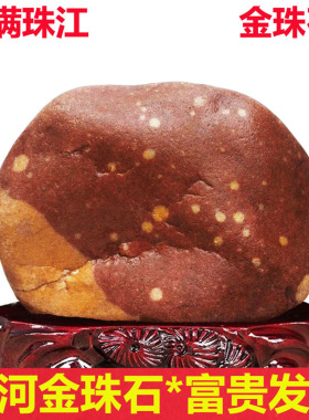 正宗黄河天然金珠原石彩红色石头客厅图案画面祝贺寿礼品奇石摆件