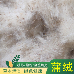 天然蒲绒枕头蒲絮水蜡烛蒲草香蒲枕填充料香蒲绒单人枕芯填充物