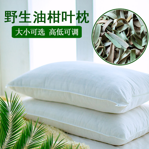 天然油柑叶枕头荞麦枕芯有拉链