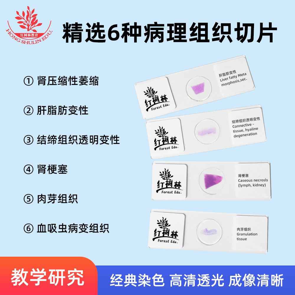 6种常见病理学组织标本切片高教医学院教学研究用显微镜标本片