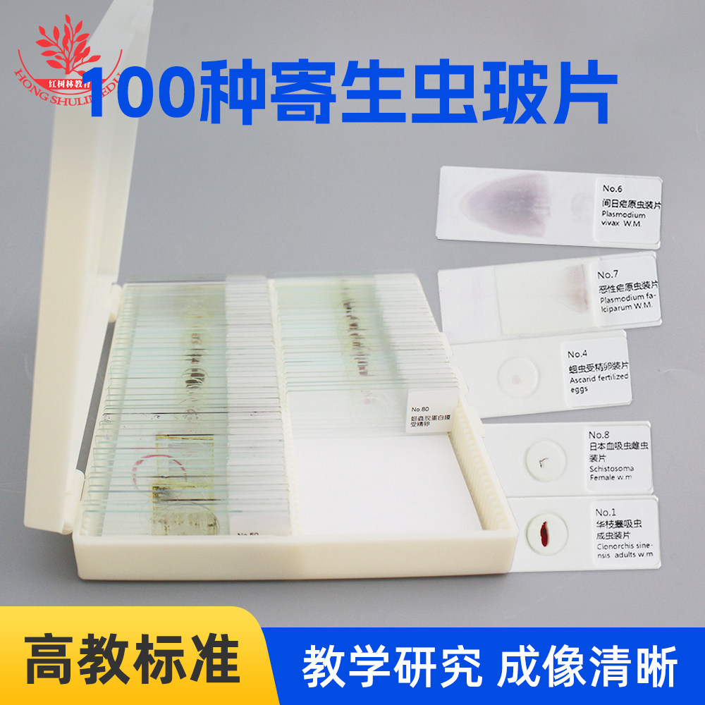 100片医学寄生虫学显微镜标本片高教医学院教学研究用寄生虫标本