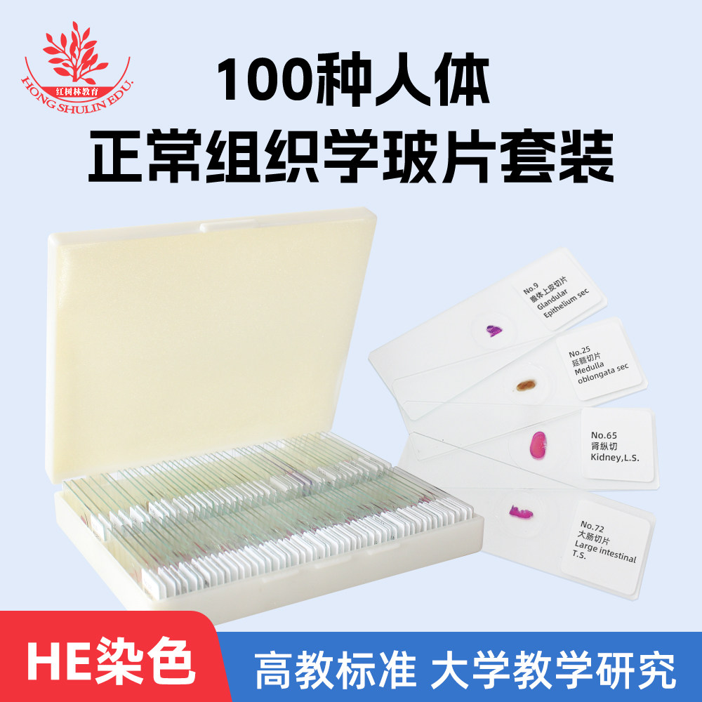 100种正常组织学切片FRT2001高教标准经典HE银染医学院医学解剖学
