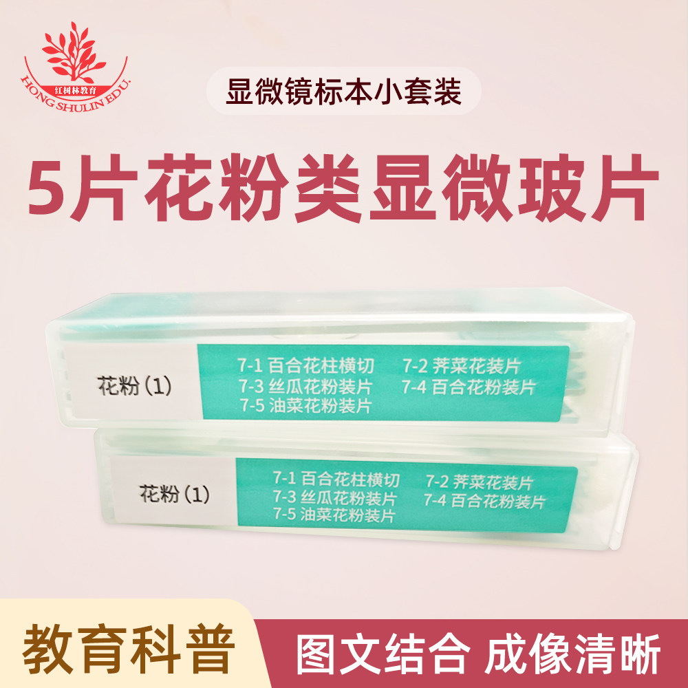 5片花粉类显微玻片儿童科学益智