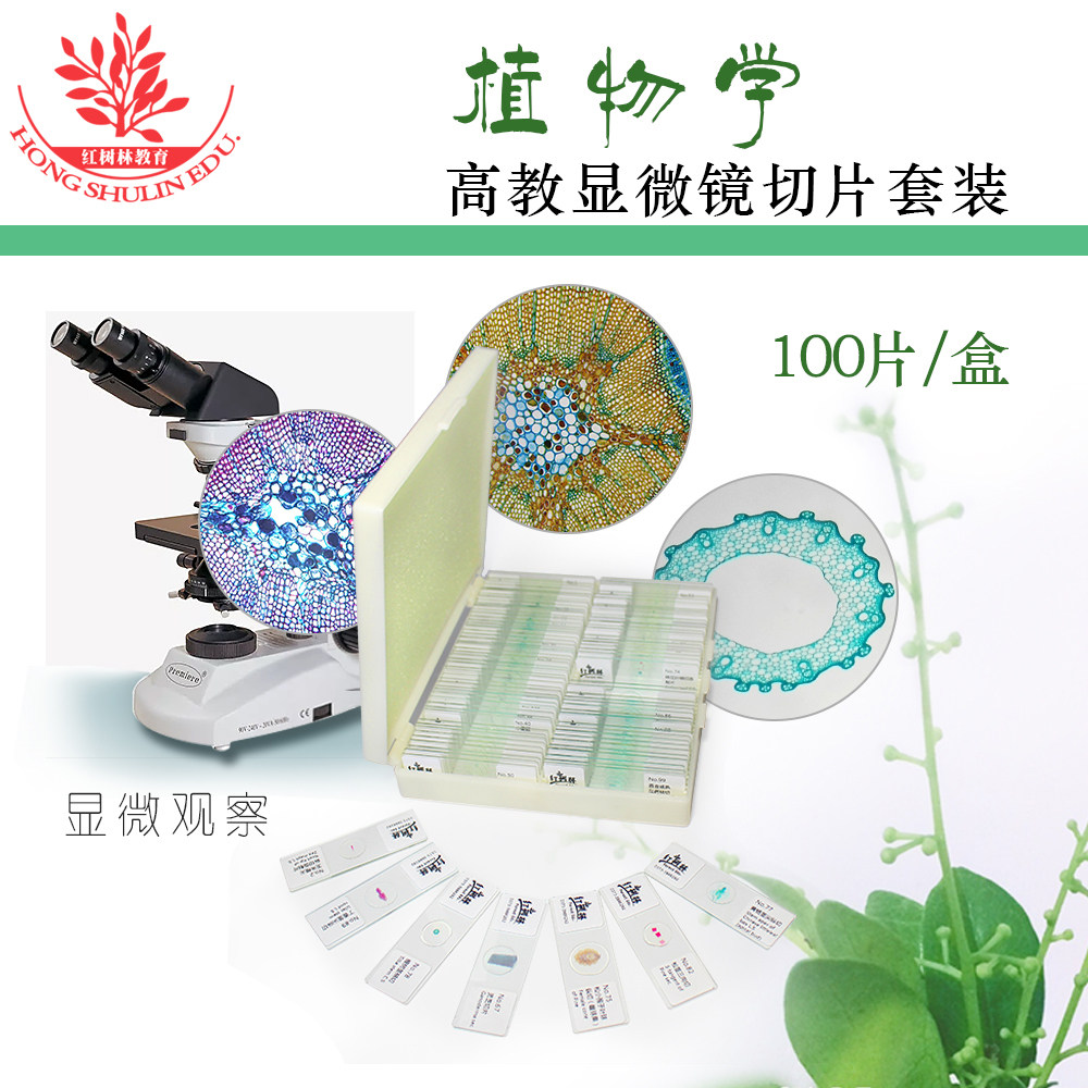 100种植物显微镜标本切片茎叶花高教品质农林院校教学用生物切片