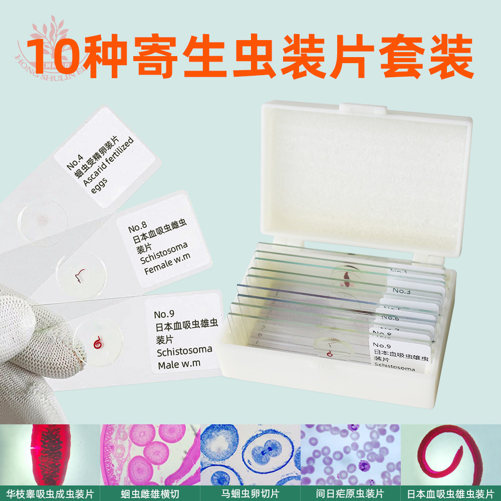 10片装寄生虫显微切片套装医学院高教科研用寄生虫显微镜标本切片