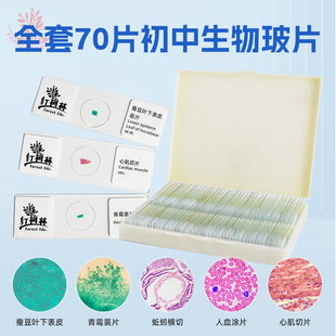 70片部编版初中生物玻片含植物动物藻类霉菌组织生物显微镜标本片