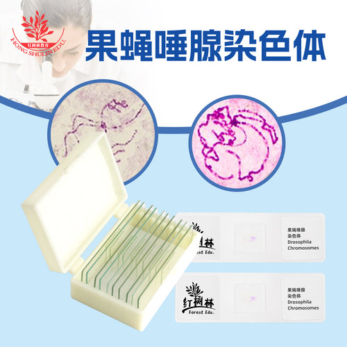 厂家直销生物显微镜玻片