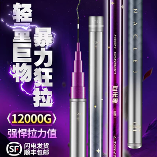 爱易达鱼竿巨无畏轻量大物竿巨物竿青鲟暴力台钓碳素钓鱼竿手竿