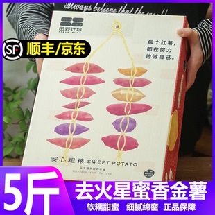 去火星田野计划蜜香金薯5斤礼盒装 黄心番薯烤红薯地瓜良作蜜薯