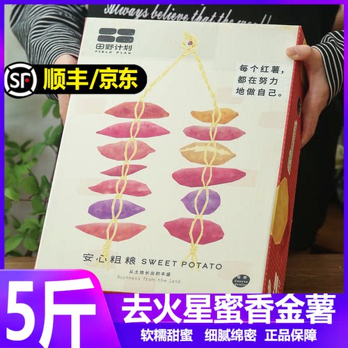 去火星蜜香金薯软糯香甜精品礼盒