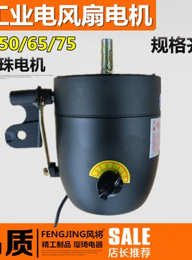 工业风扇FS-75电机750mm落地扇挂壁扇牛角扇通用马达大功率电动机