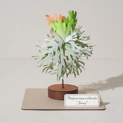 【纸模植物】jeancard立体纸雕3d镭射diy材料包珍妮鹿角蕨纸模