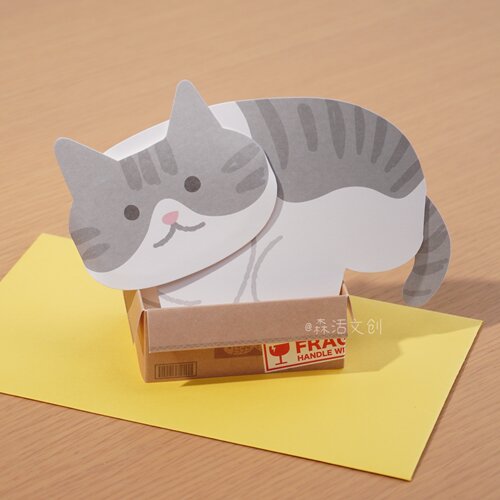 快看是谁家的小猫又钻纸箱啦