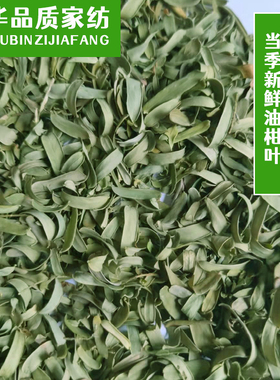 正宗家用新鲜油柑叶夏凉枕头填充物油甘叶牛柑果叶余柑叶枕芯填塞