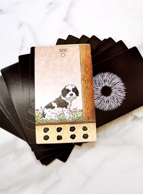 Mushroom Hunter's Tarot Cards 蘑菇猎人卡罗牌 韦特牌78张12*7