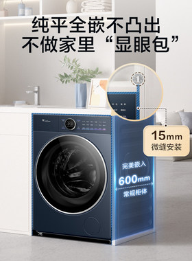 Littleswan/小天鹅 TG10DE60自动纯平全嵌微净泡顽渍净1.15洗衣机