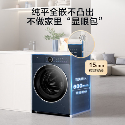 Littleswan/小天鹅 TG10DE60自动纯平全嵌微净泡顽渍净1.15洗衣机