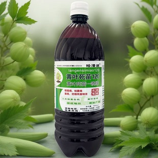 鑫科植保蔬菜 西瓜病毒黄叶哈漫迪黄叶死苗120 叶枯病专用产品