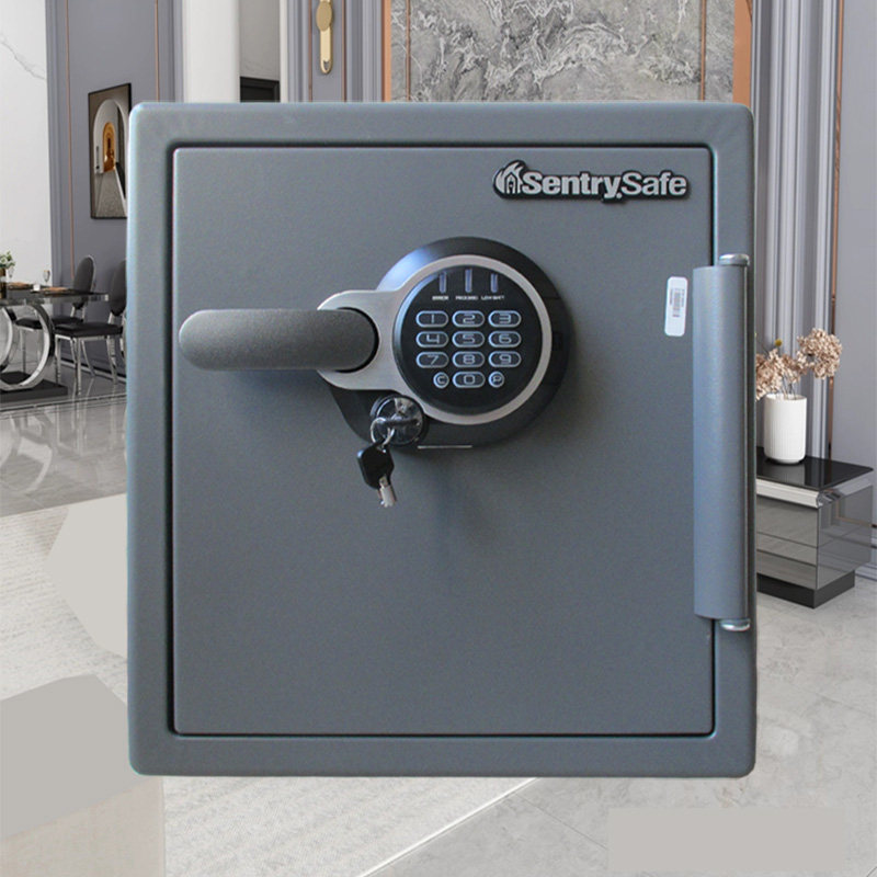 SentrySafe美国善卫保险箱保险柜 STW123GDC家用小型电子进口防火