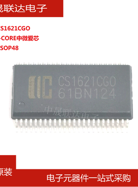 全新原装CS1621CGO 中微爱芯 封装SSOP-48贴片 LCD驱动控制芯片