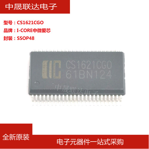 全新原装CS1621CGO 中微爱芯 封装SSOP-48贴片 LCD驱动控制芯片