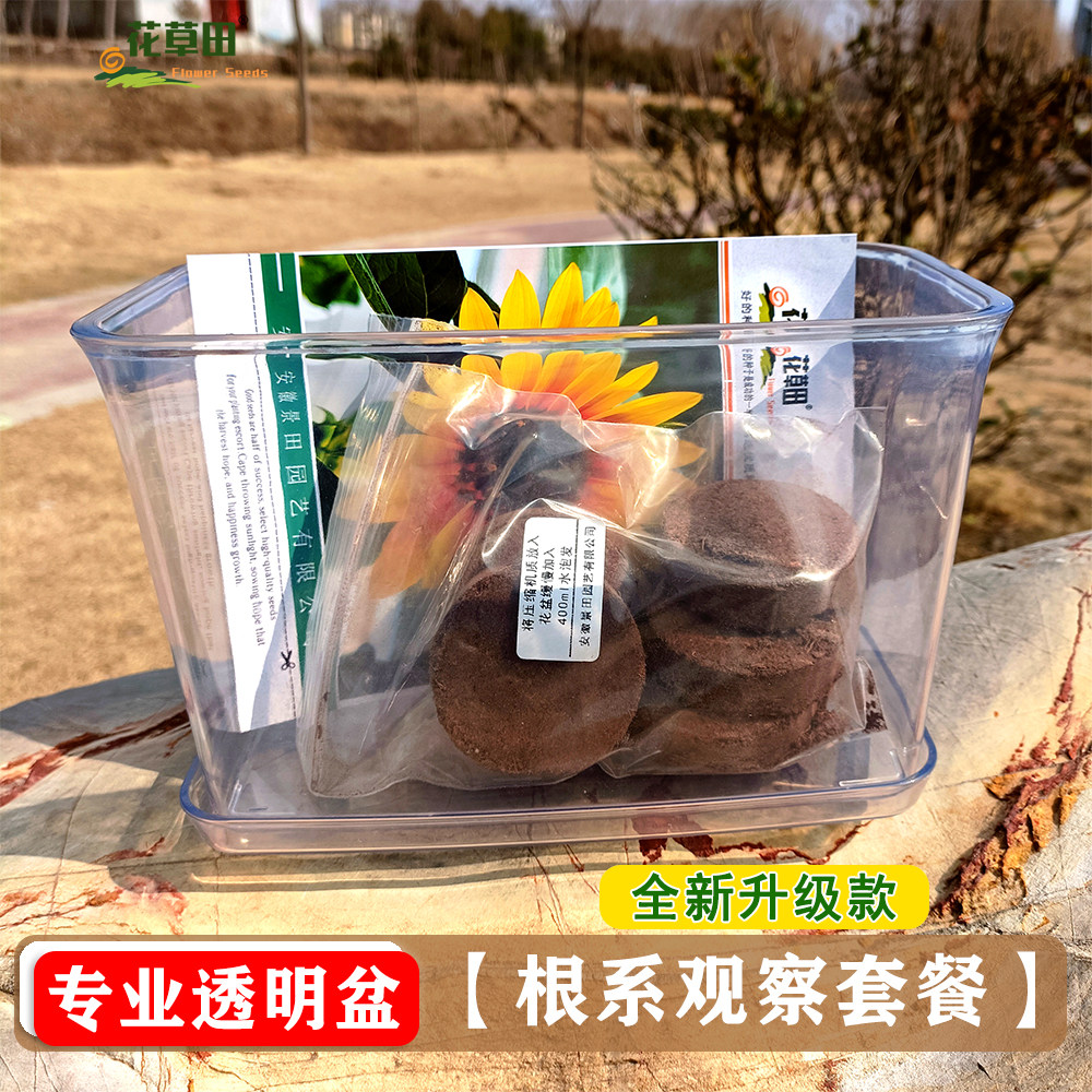 透明盆根系学生观察种植套装科学课四季幼儿园儿童套餐花种子番茄